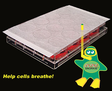 Sealing Films for Cell and Tissue Culture