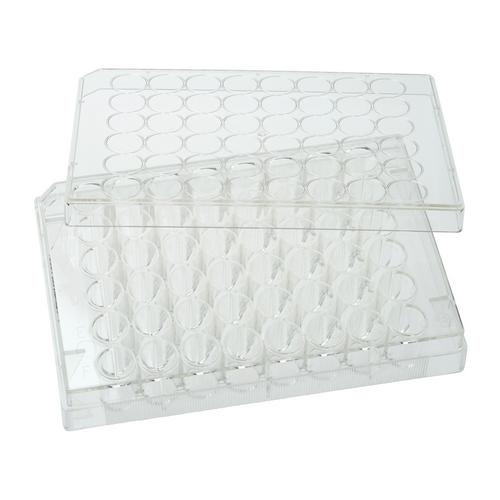 48-Well Tissue Culture Treated Plates, CELLTREAT