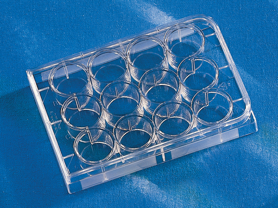 Costar® 12-well Clear TC-treated Multiple Well Plates, Individually Wrapped, Sterile, 50/case