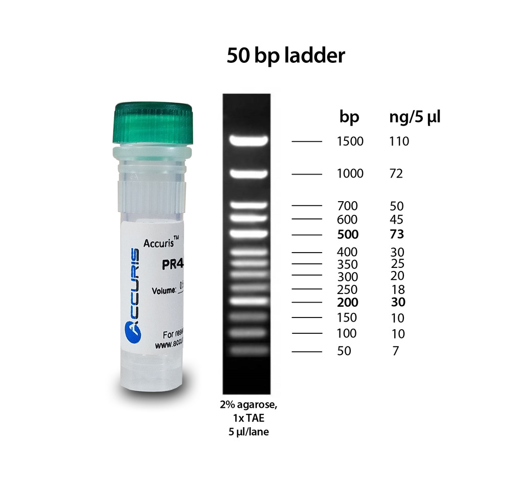 Accuris SmartCheck™ 50bp DNA Ladder, 5 x 500ul / 100 lanes