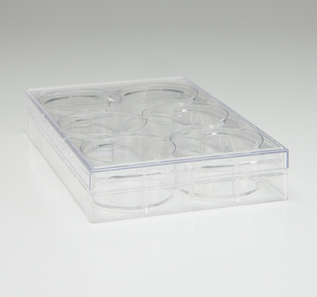 6-Well Cell Culture Dish, TrueLine