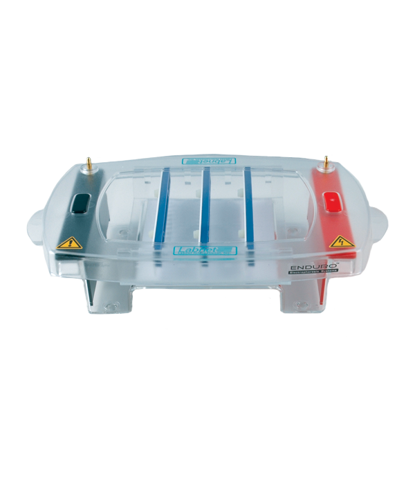 ENDURO 10.10 Horizontal Gel with two 10 tooth combs, gel tray, casting gates, and loading guides