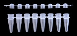 8-Strip PCR Tubes with Dome Strip Caps