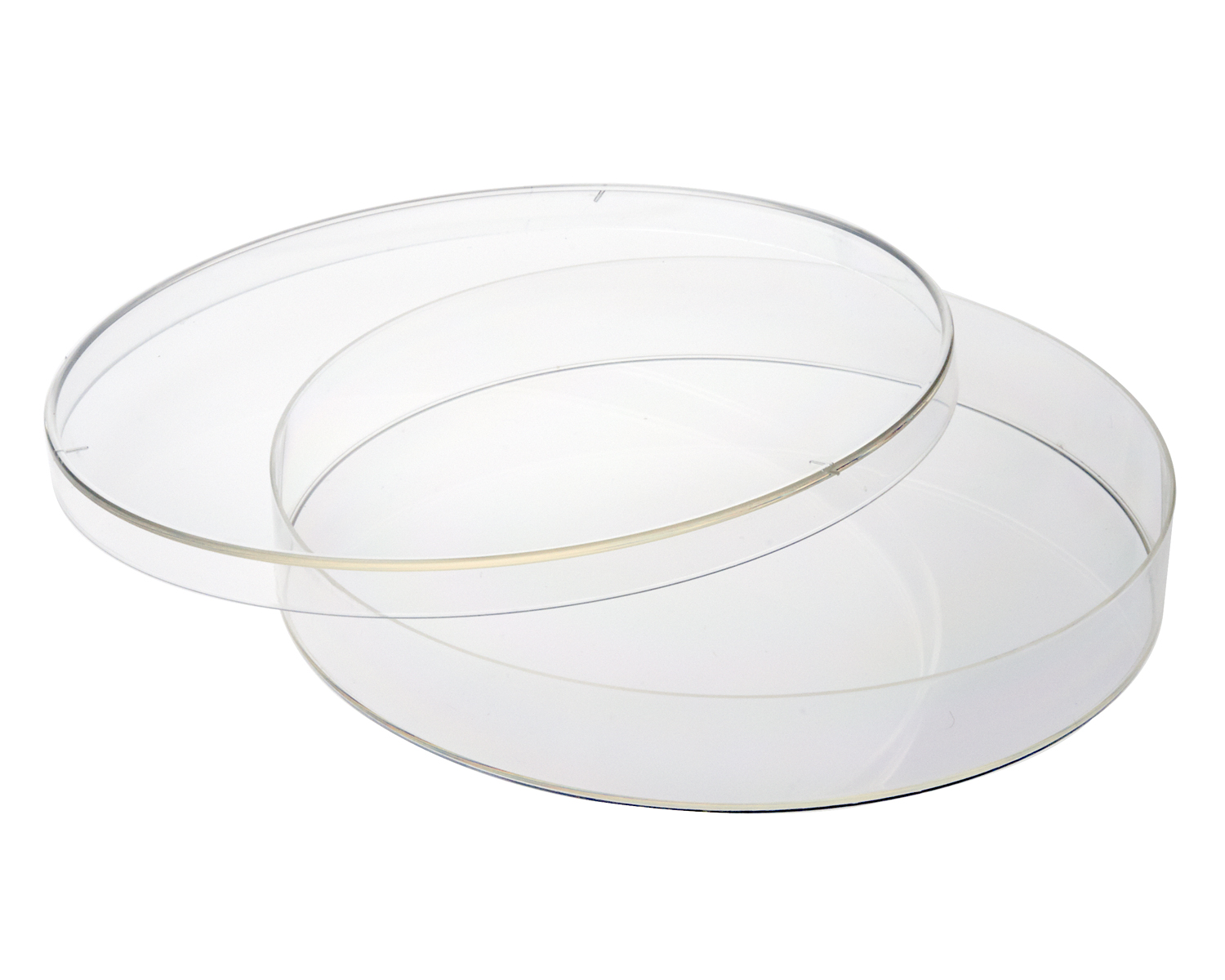 150mm CELLTREAT Tissue Culture Dish