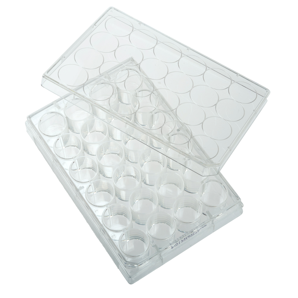 CELLTREAT 24-Well Non-treated Plate with Lid, Individual, Sterile