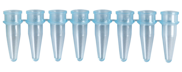 Blue 8-Strip PCR Tubes