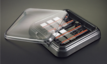 StainTray Slide Staining System, Base with Black Lid - 10 Slides