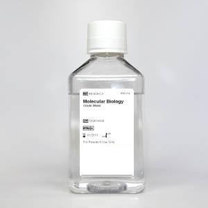 Molecular Biology Grade, USP Purified Water
