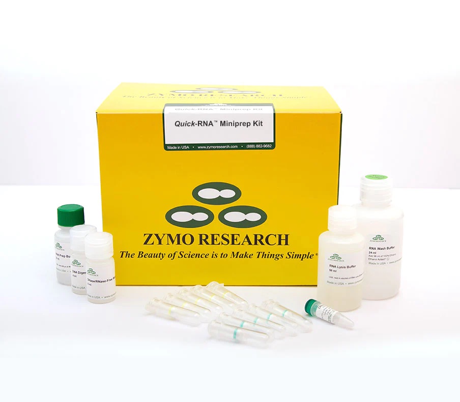 Zymo Quick-RNA Miniprep Kit