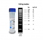 Accuris SmartCheck™ 100bp DNA Ladder, 5 x 500ul / 100 lanes