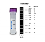 Accuris SmartCheck™ 1Kbp DNA Ladder, 5 x 500ul / 100 lanes