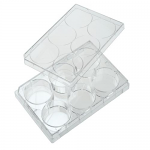 6-Well Tissue Culture Treated Plates, CELLTREAT