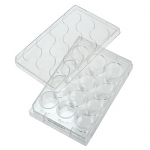 12-Well Tissue Culture Treated Plates, CELLTREAT