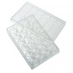 24-Well Tissue Culture Treated Plates, CELLTREAT