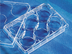 Costar® 6-well Clear TC-treated Multiple Well Plates, Individually Wrapped, Sterile, 50/case