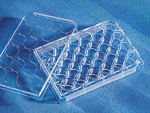 Costar® 24-well Clear TC-treated Multiple Well Plates, Individually Wrapped, Sterile, 50/case