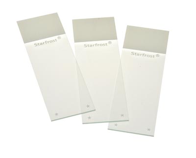 Starfrost® Adhesive Microscope Slides, Straight Edge