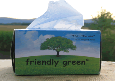 Friendly Green Laboratory Wipes, Small Box