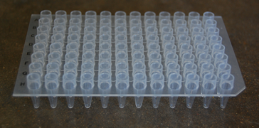 96 Well PCR Plates, Chimney Top