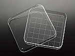 Square Petri Dish with Grid