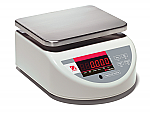 BW Standard Compact Washdown Scales